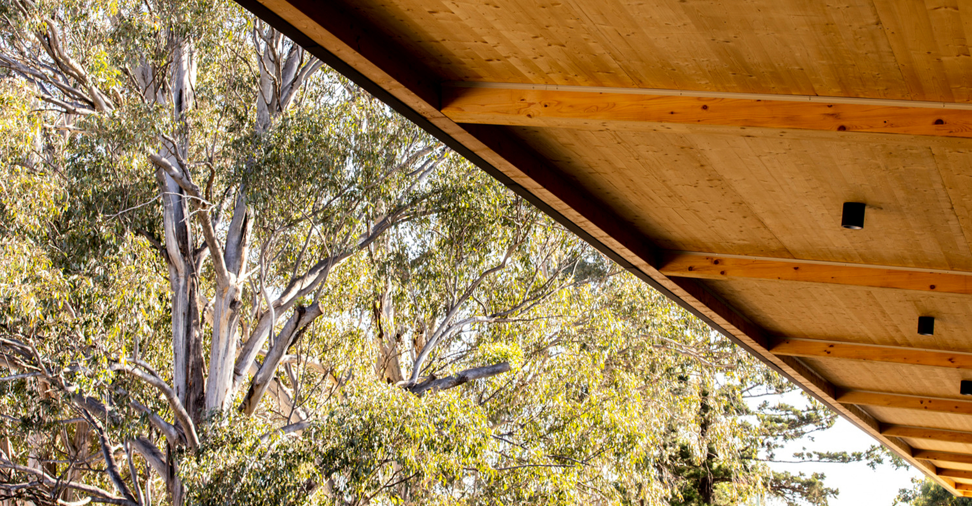 埃里克·特威代尔体育场丨澳大利亚丨dwp-42