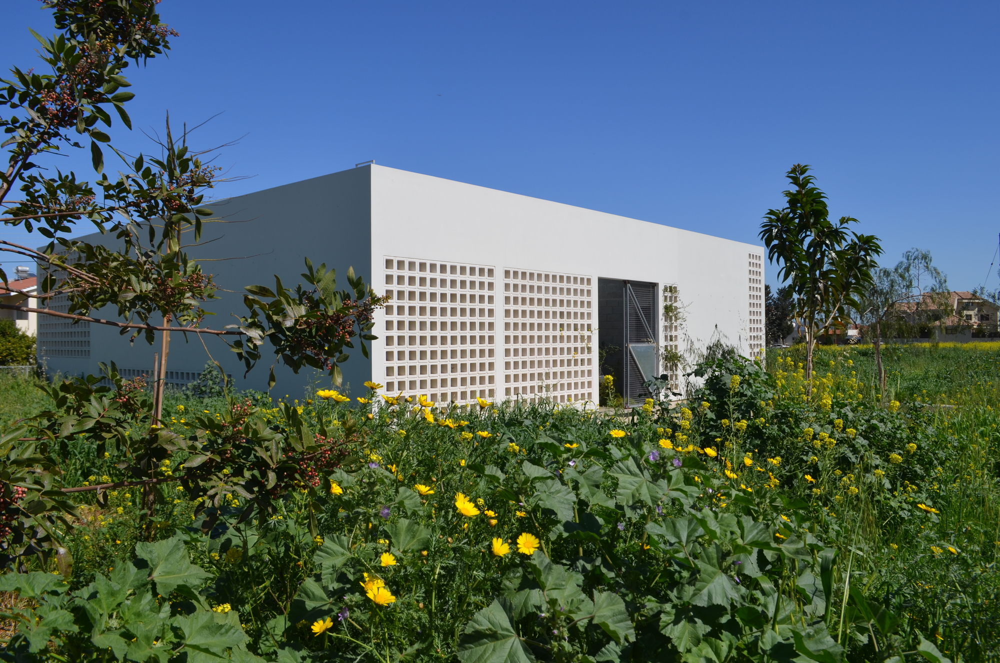 A House with Four Gardens / draftworks architects-18