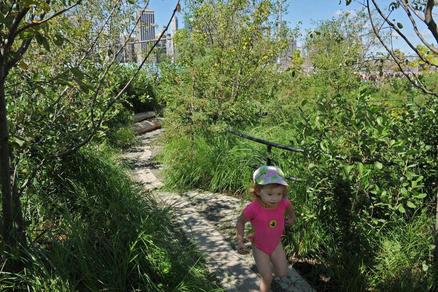 布鲁克林大桥公园儿童空间丨美国纽约丨北卡罗来纳州立大学自然学习计划,MVVA,Inc.-11