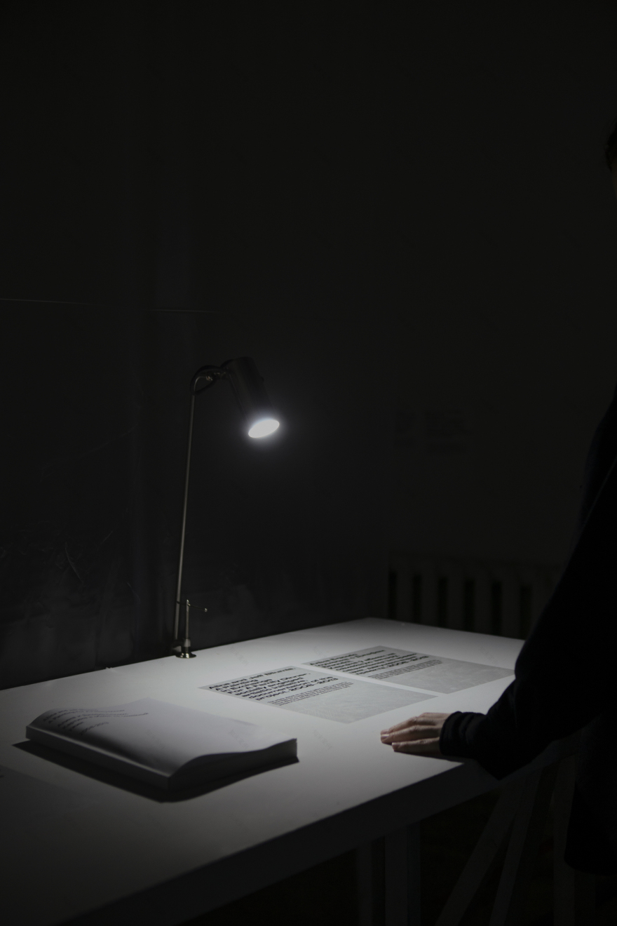 Touchable Distance Exhibition / Radical Passive-33