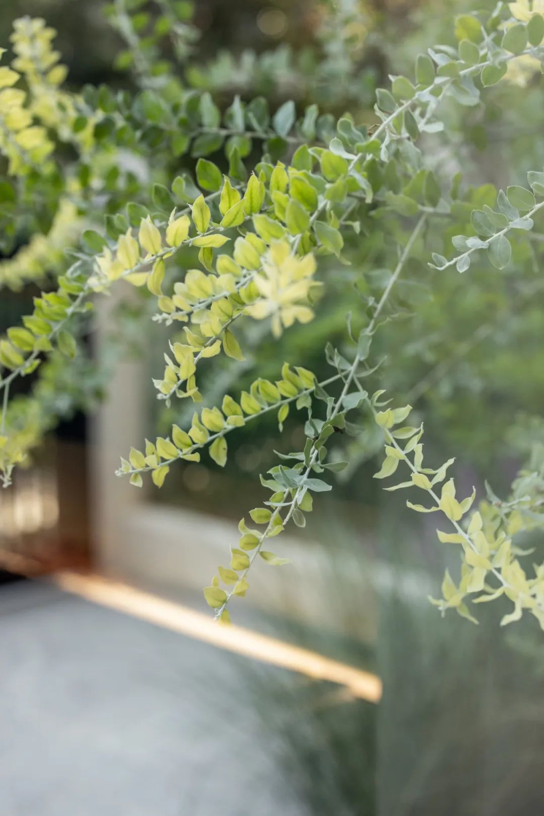 平衡与碰撞,280㎡多元化生活空间丨邓周彬-75