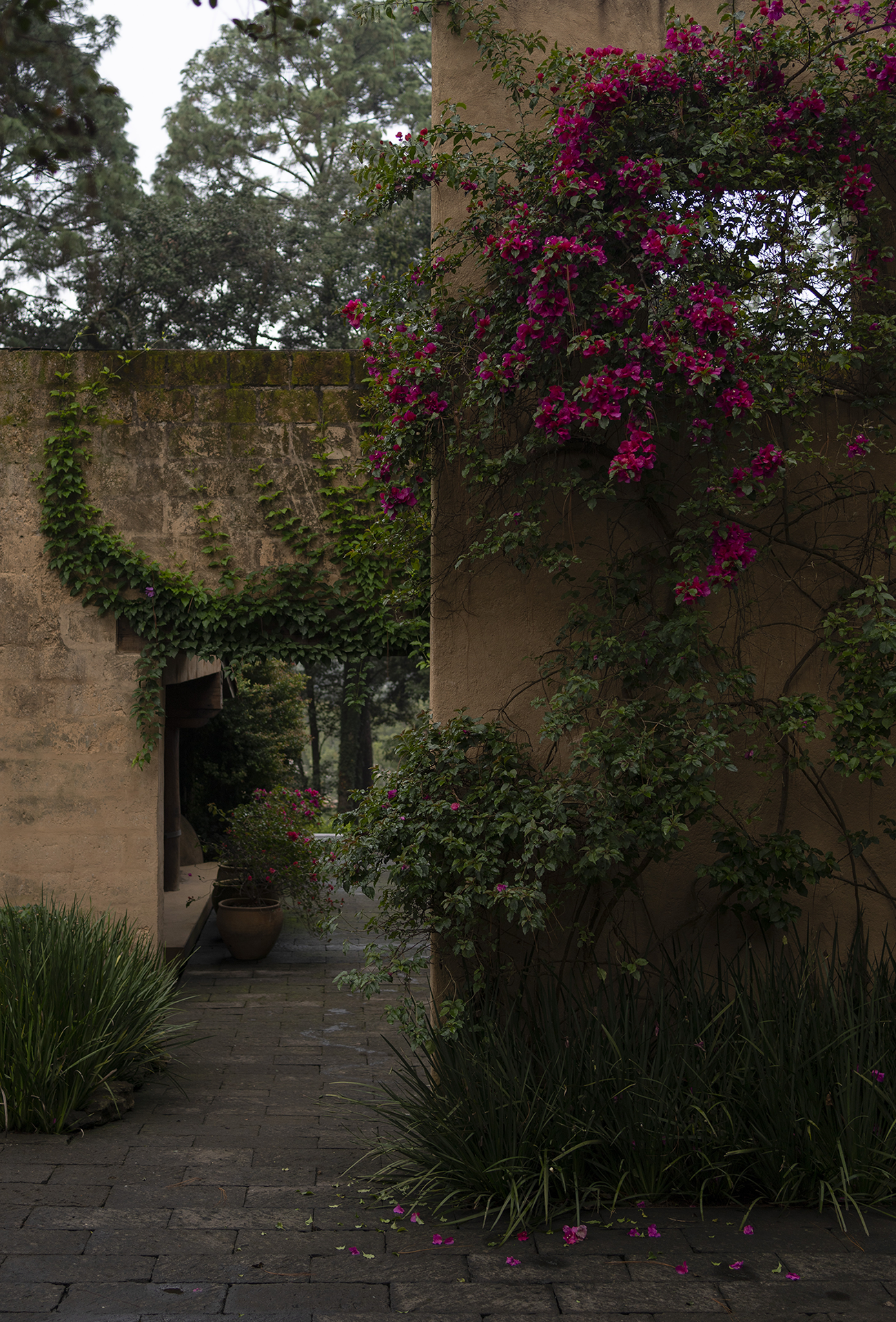 埃尔埃斯皮诺别墅景观丨墨西哥丨Dirección 设计工作室-53