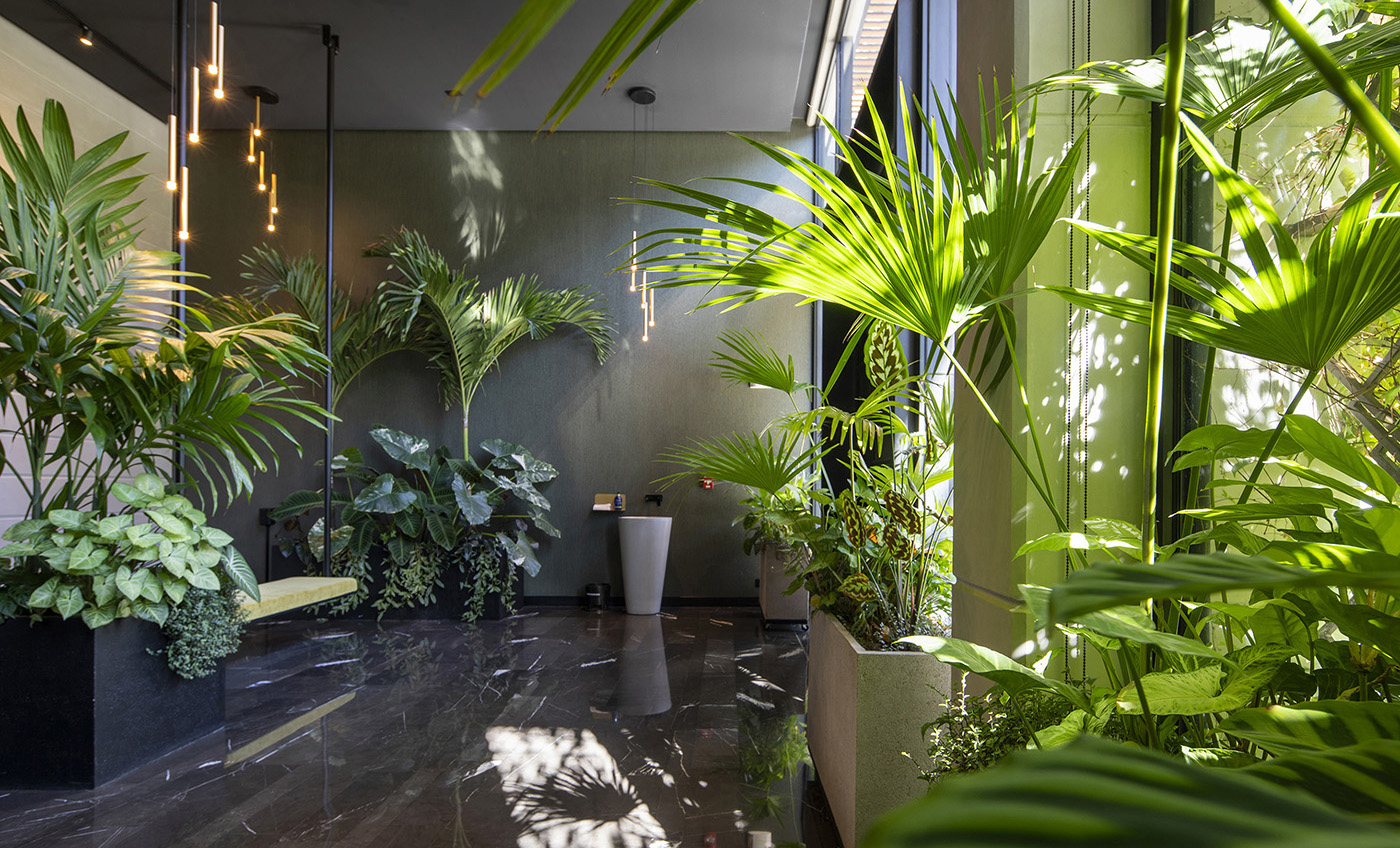 栀子丨哥斯达黎加圣何塞丨Studio Saxe-56