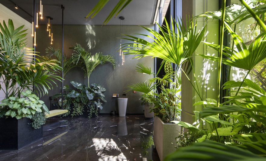 栀子丨哥斯达黎加圣何塞丨Studio Saxe-56