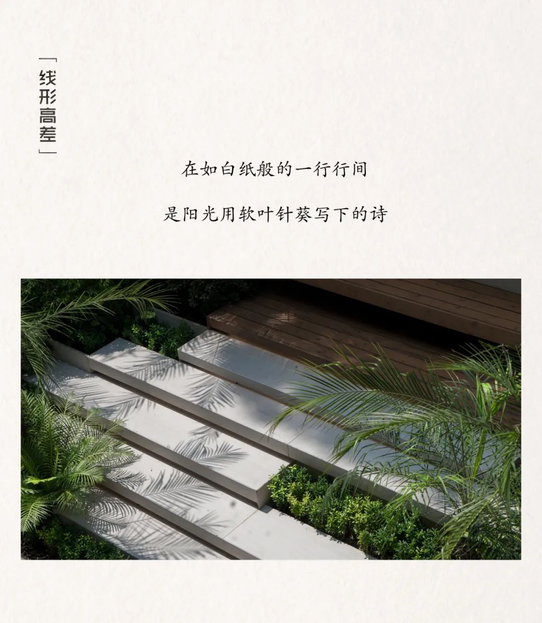 橱窗花园 · 打造城市中的自然绿洲丨中国金山丨MUSO DESIGN-14