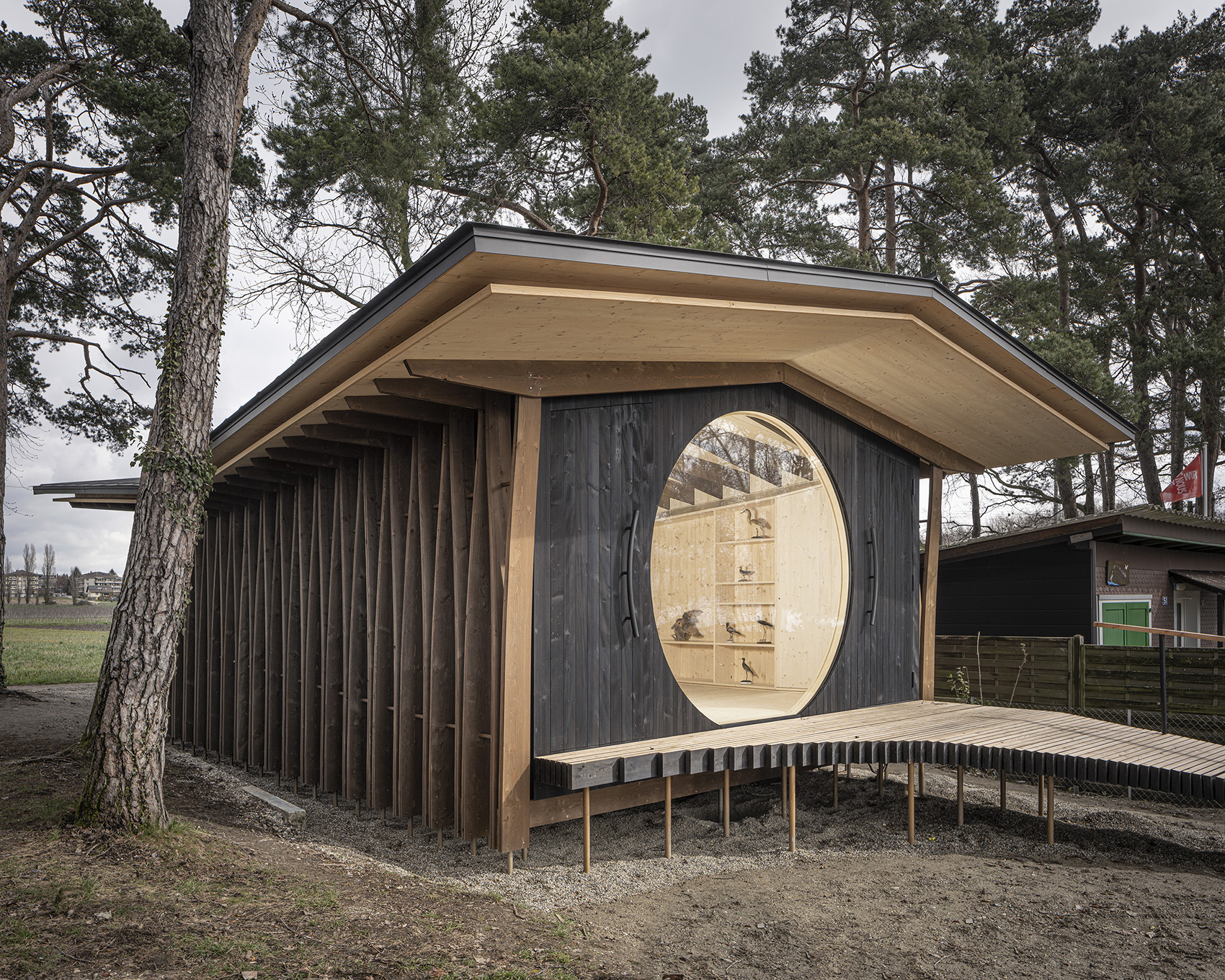 鸟岛屋丨瑞士洛桑丨LOCALARCHITECTURE-10