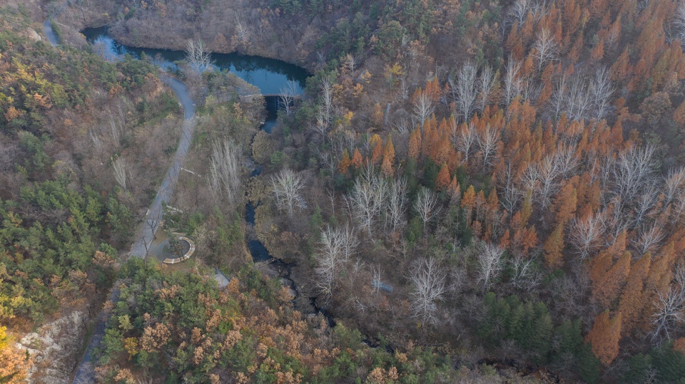 昆嵛山国家级自然保护区林场建立80周年纪念雕塑（烟台金刚碑）丨中国烟台丨大小景观-45