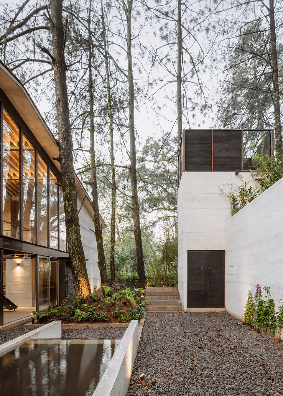 高树之家丨墨西哥丨1i Arquitectura-13