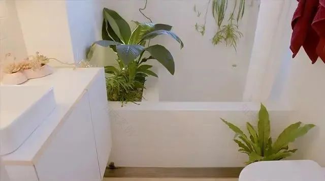 49㎡二手房逆袭,小家变大宅,步入式衣帽间++ 大浴缸全都有!-119