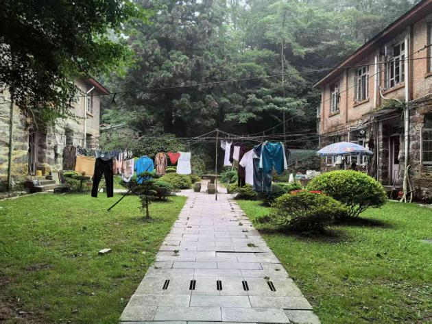 庐山植物园基础设施提升改造项目圆满竣工!-72