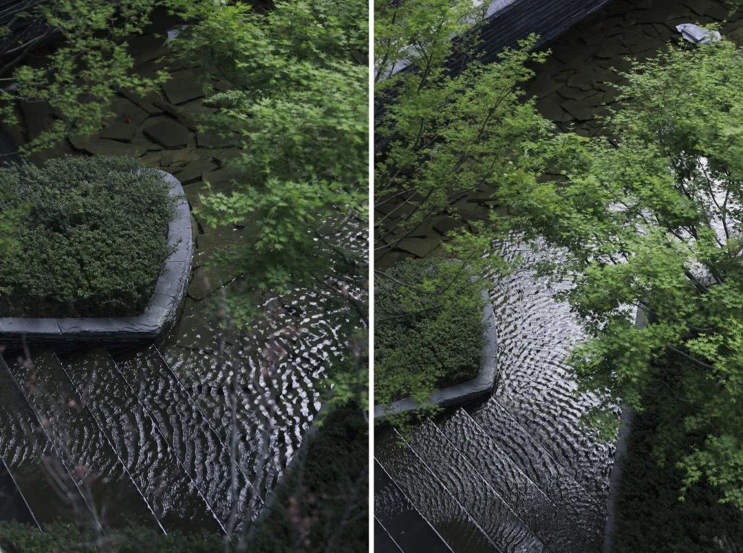 成都东安湖木棉花酒店丨中国成都丨Lab D+H,CELEC成都绿茵景园-61