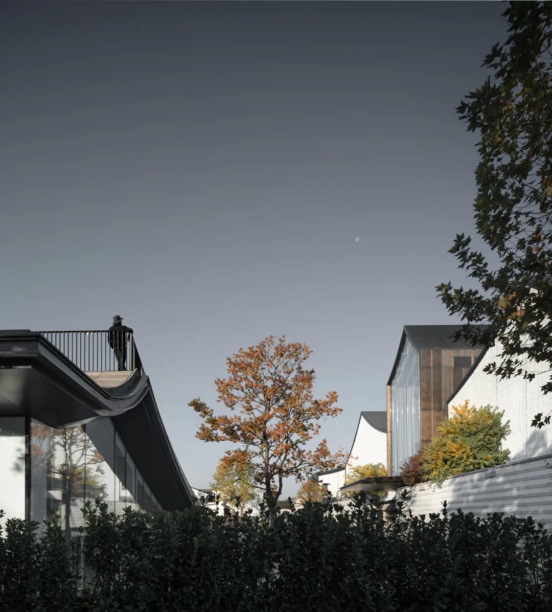 绍兴古城中的艺术空间 | 徐渭艺术馆-125