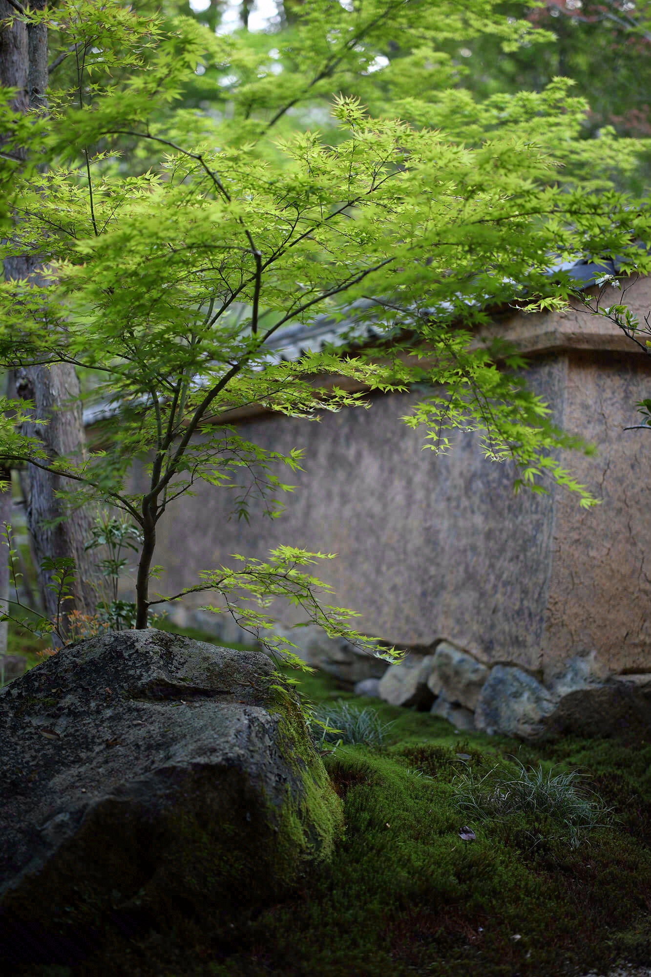 德荣寺 紫音庵丨日本福冈丨Masumi Yanase Architect Office-95