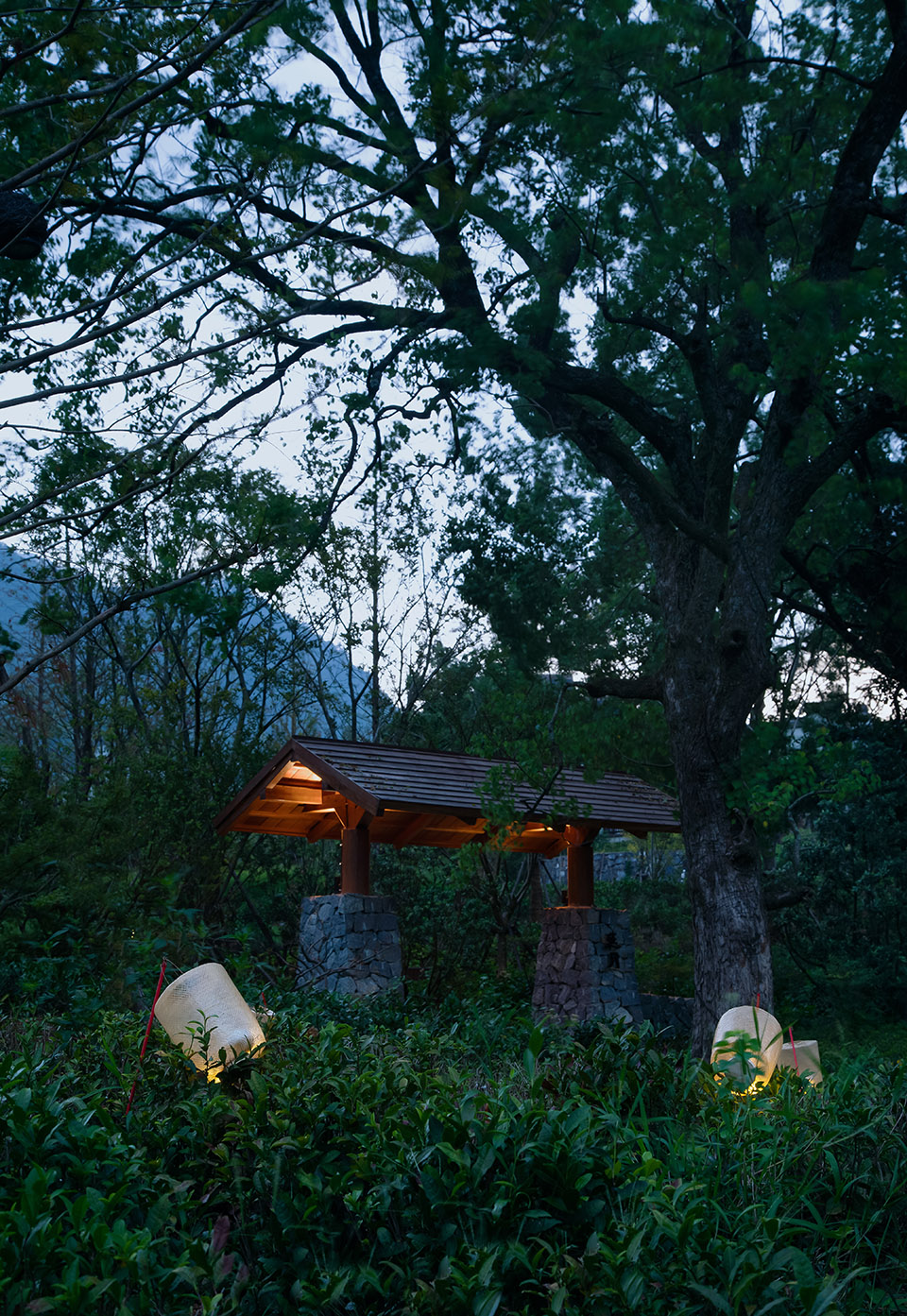 黄山悦榕庄 | 融入自然的诗意疗愈景观设计-61