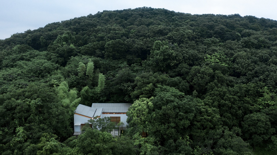 山林间的蝶翼建筑 · 定海台房丨中国舟山丨久舍营造工作室-23