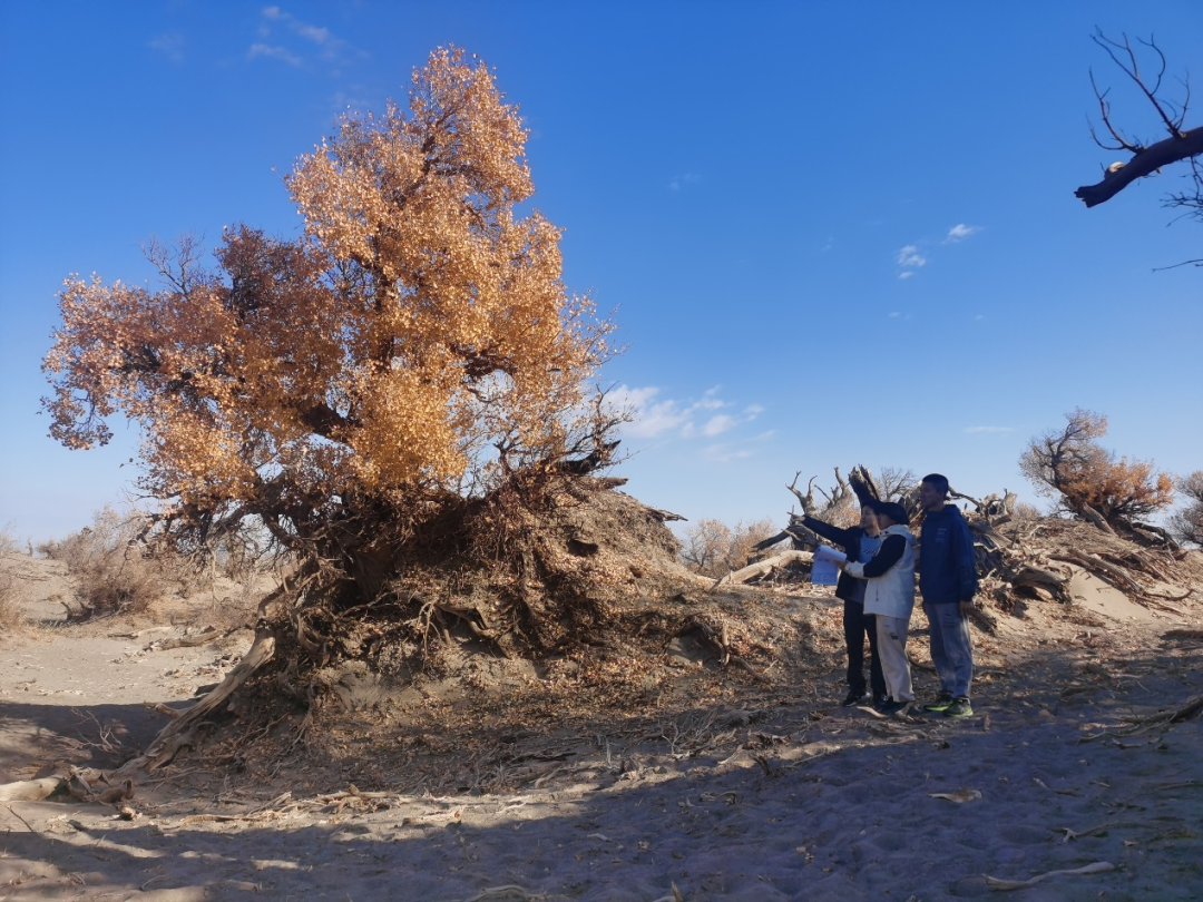 我的铁路风景|大漠长河间的铁路诗行-2