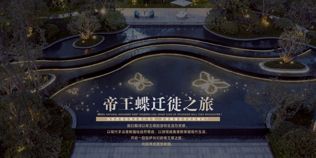 梦寻太湖畔,蝶舞雁栖湖-74