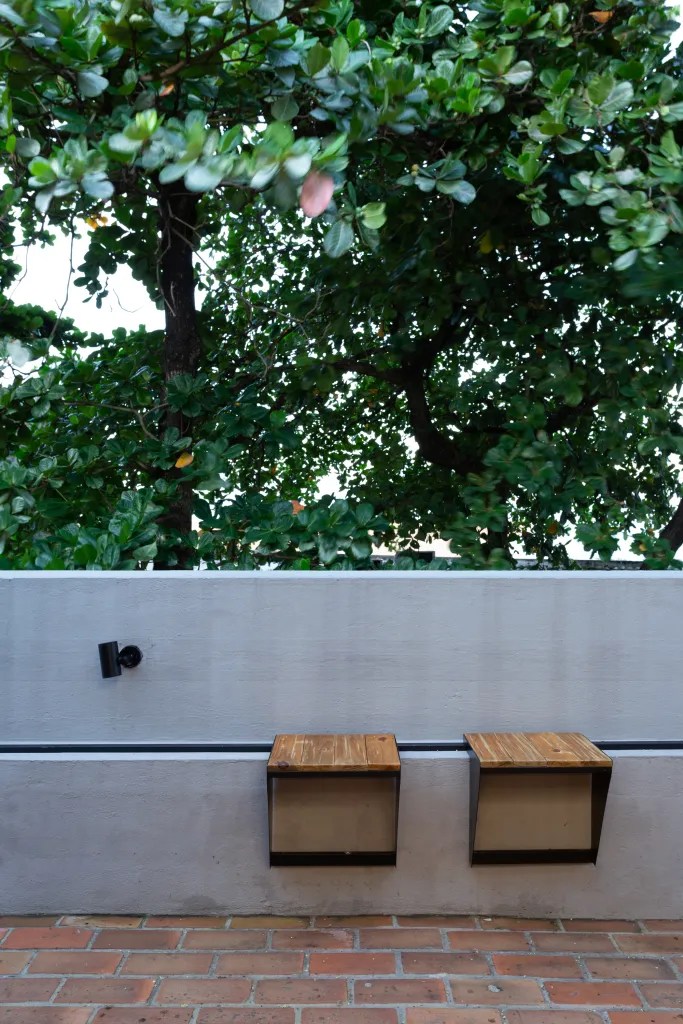 丨巴西伯南布哥-223