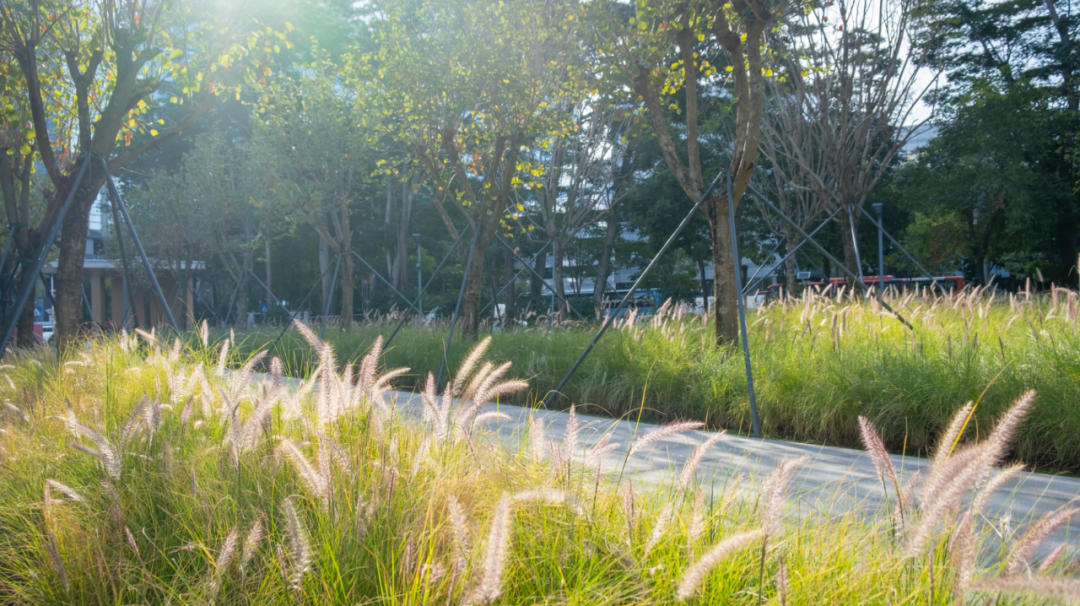 智见 · 云上 | 云之园 CLOUD PARK-200