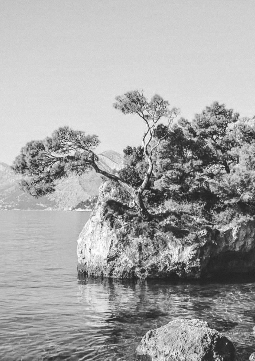 丨Croatia丨Lambs and Lions-3