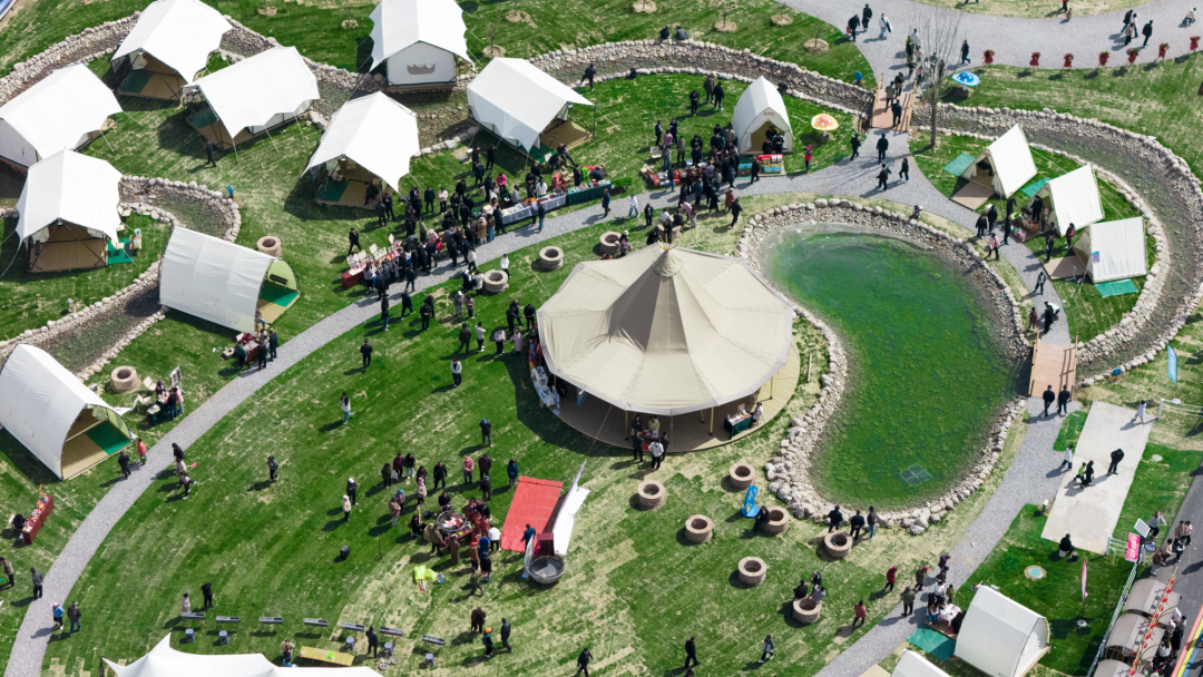 青来计划·蘑菇点灯，让每一座乡村找到自己的光|中青博纳|印文设计-51