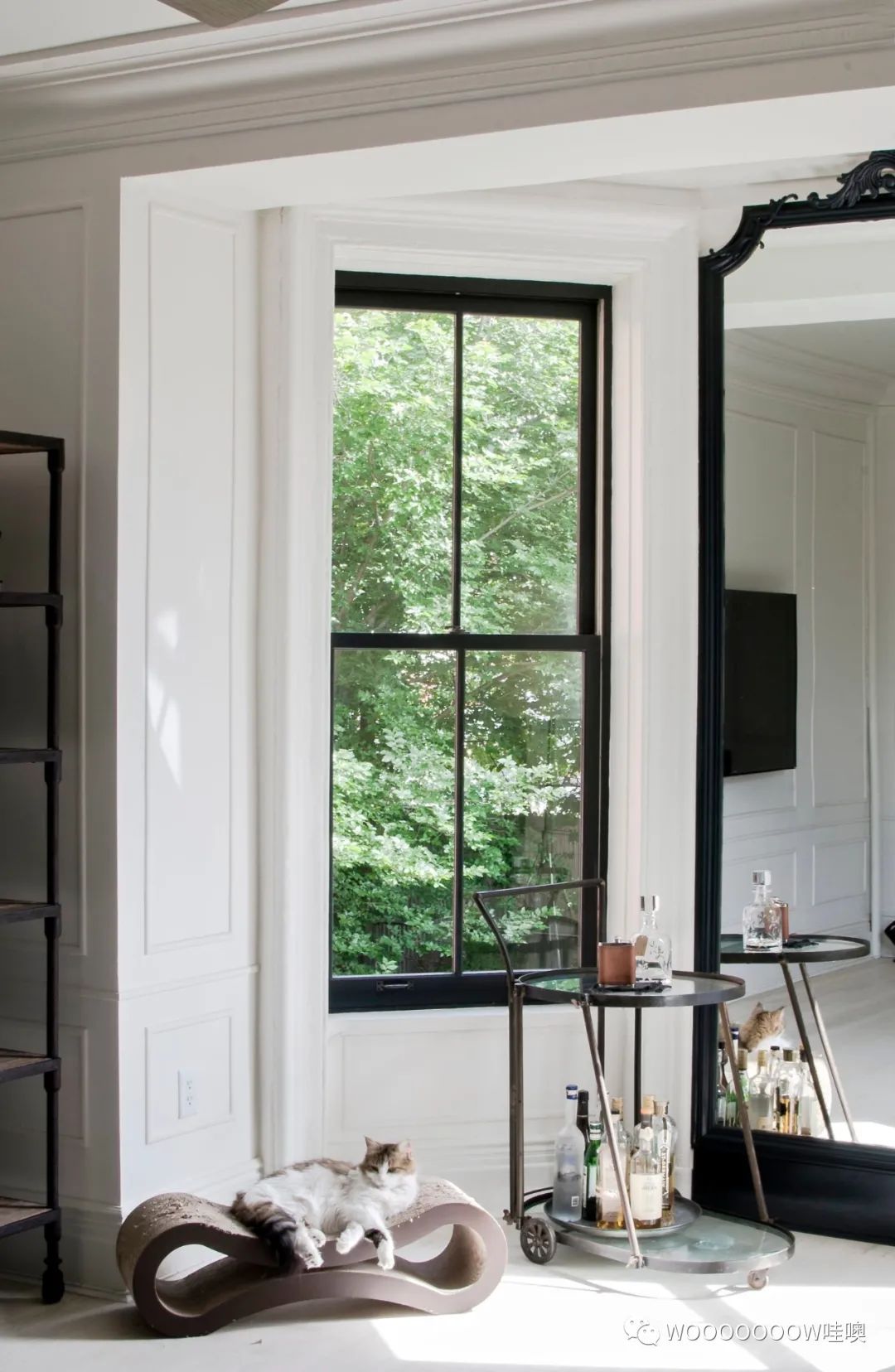 纽约 Clinton Hil 住宅 | 历史与当代的完美融合-9