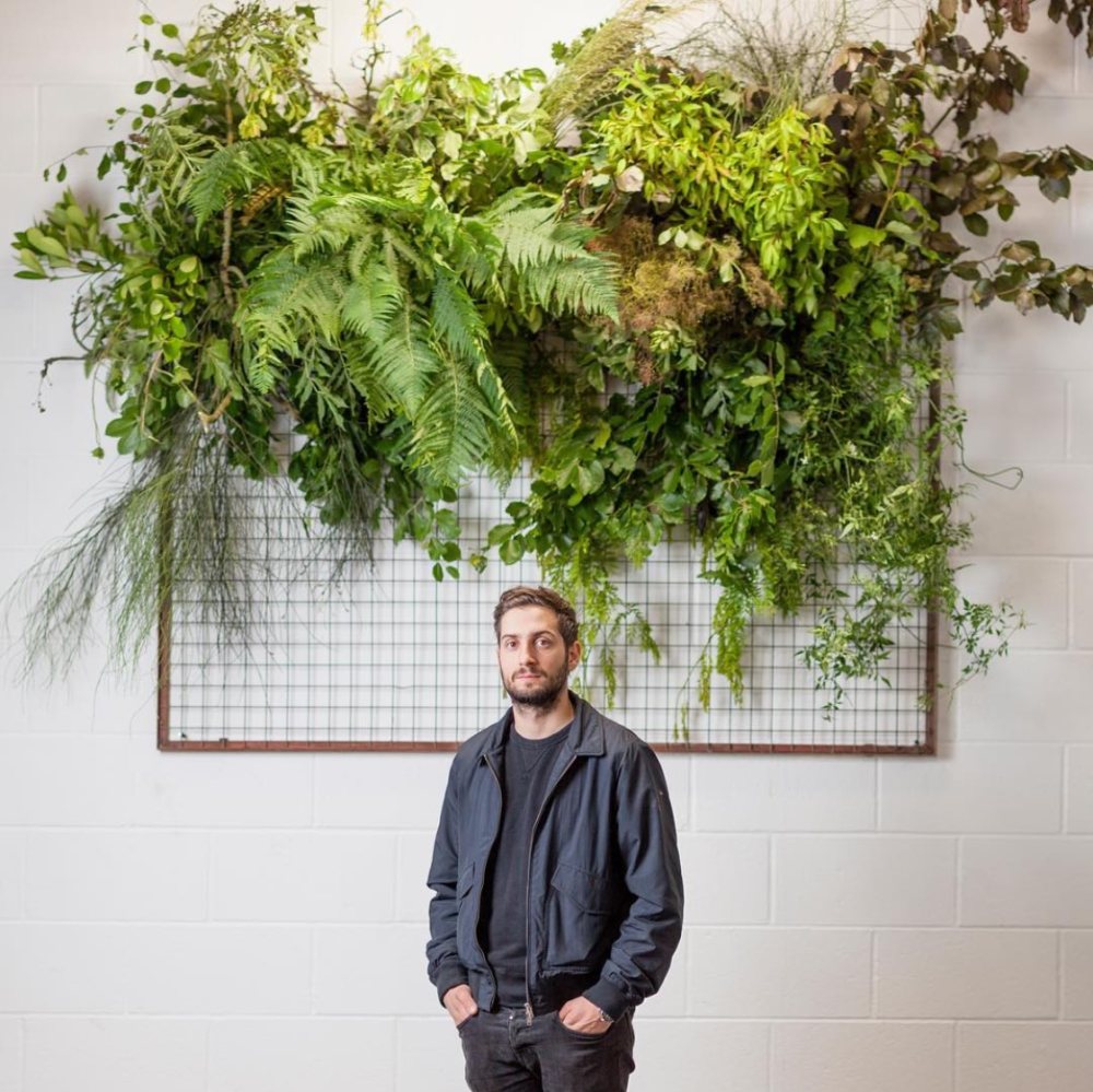 翠绿的；碧绿的；葱茏的-0