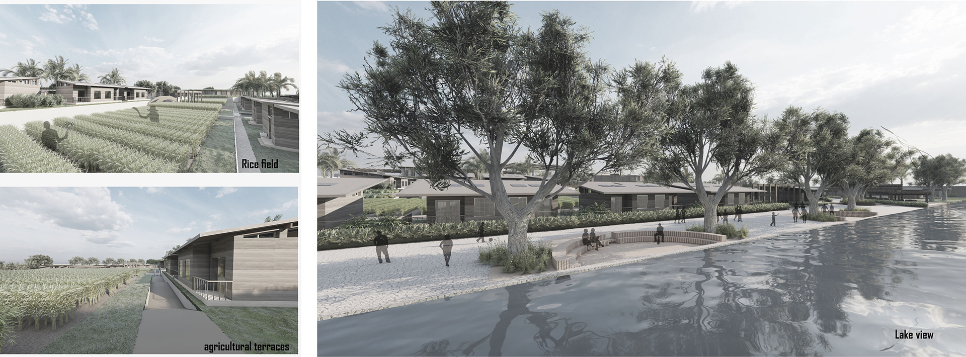 Farmstay Resort 毕业项目丨埃及-21