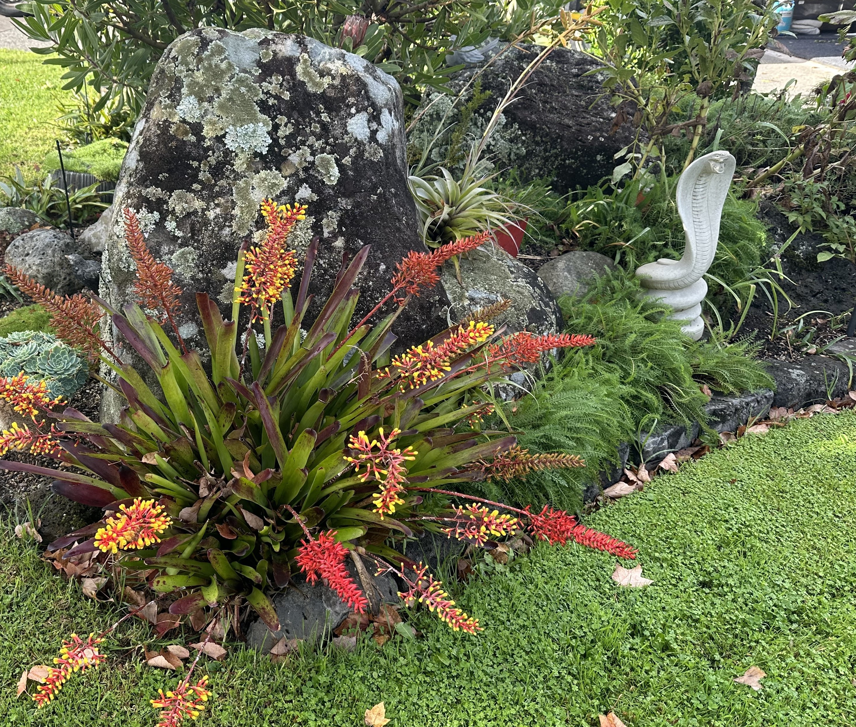 TwoConnect私人花园丨New ZealandAuckland丨Mary和Mark Jones-7