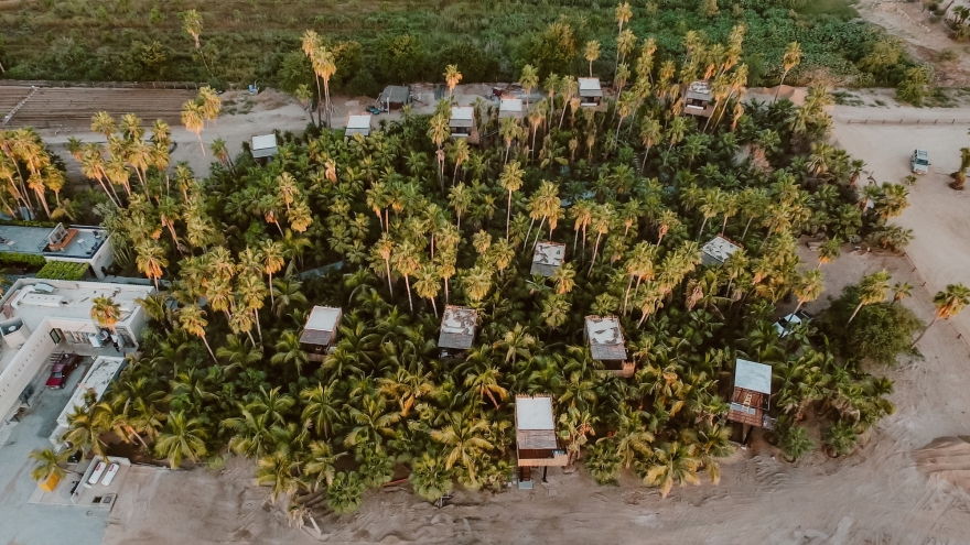Tree Houses in Acre / FabrikG-22
