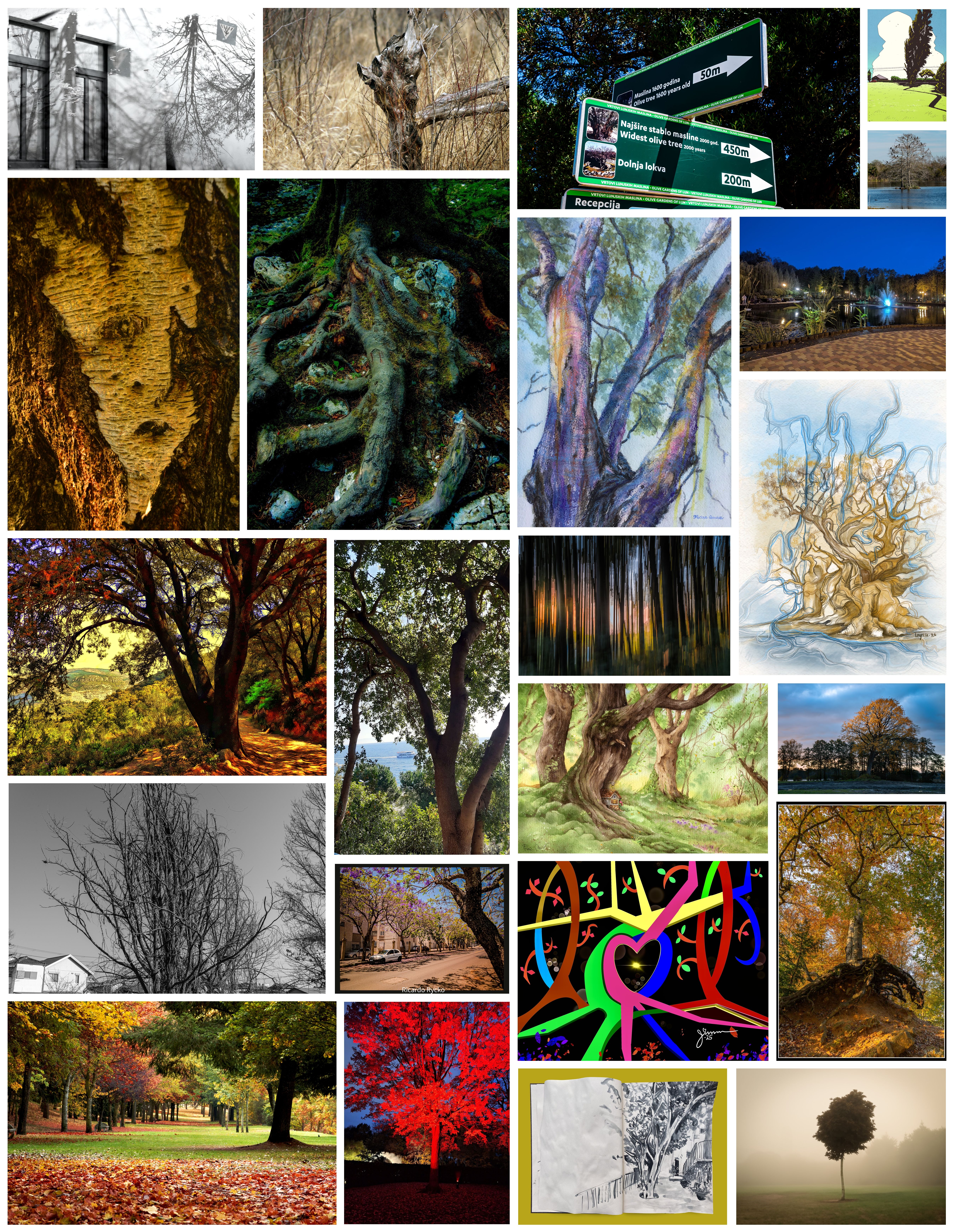 世界上的树木丨Sylvie D.-293