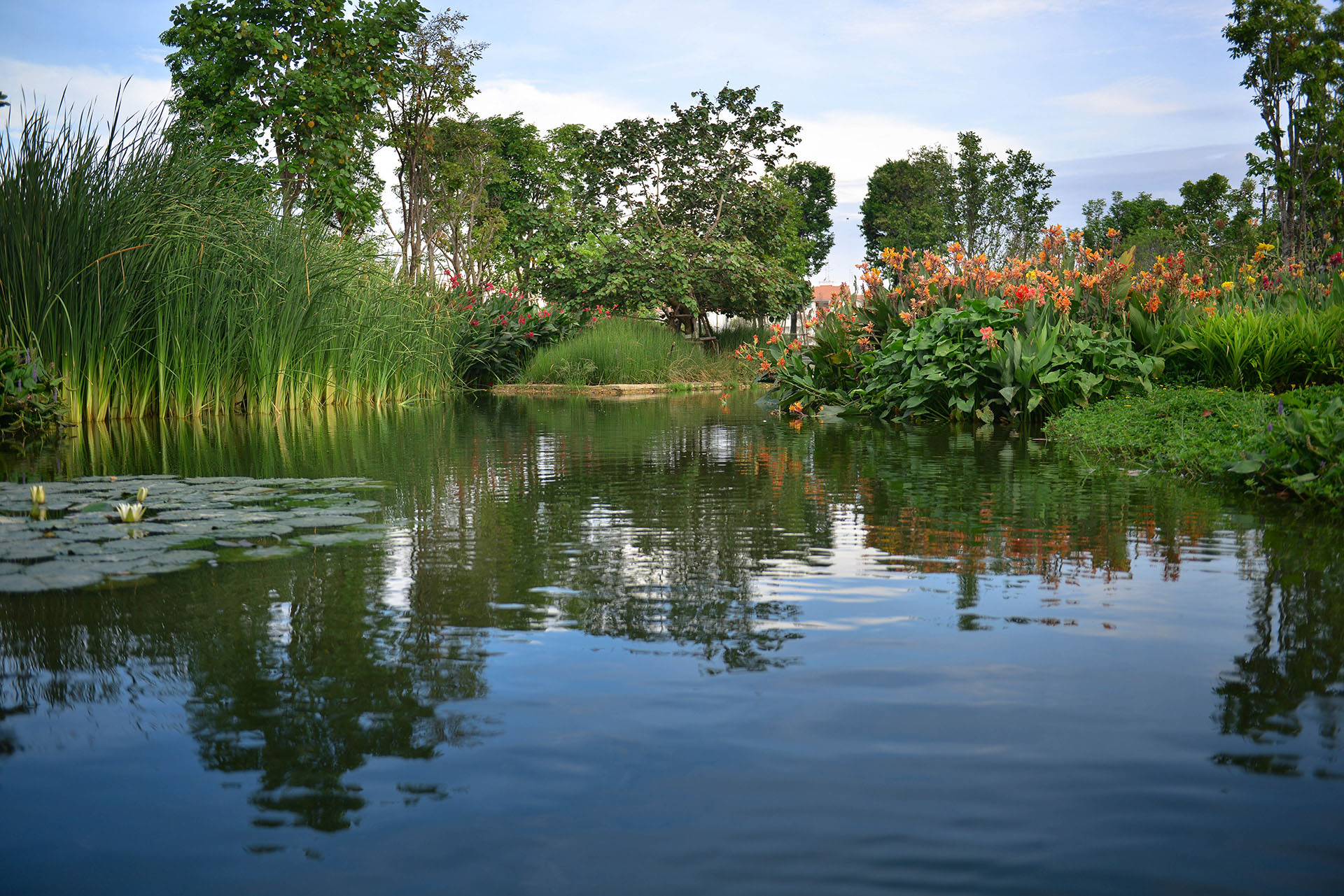 皇权免税店斯里瓦里店（注：King Power通常指泰国王权免税店 ，这里Srivaree不知具体所指，可能是特定门店、酒店或景点名称，暂按音译成斯里瓦里） -9