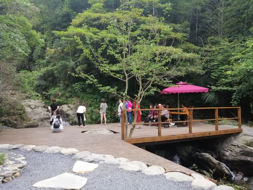 庐山桃花源景区名茶名泉节效果提升 | 打造茶禅一味的美景-66