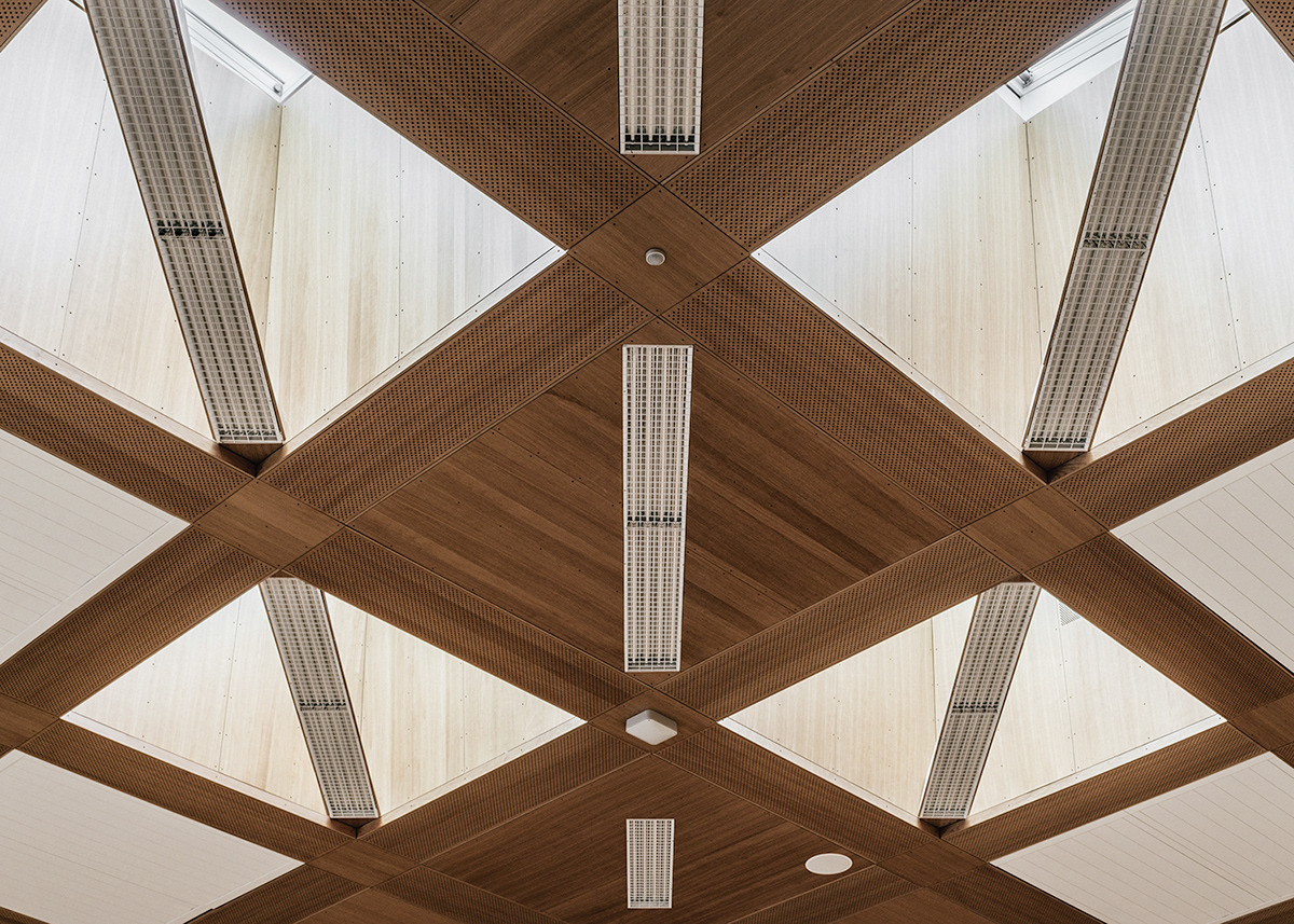 Anastasiya Gushchina丨体育馆丨Falkonergårdens Gymnasium Multihal-6