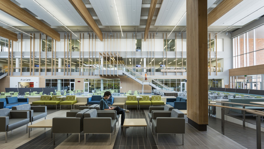 亚历山德里亚地区高中-21