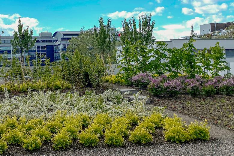 WolkenWerk 景观设计丨瑞士苏黎世丨mavo gmbh-12