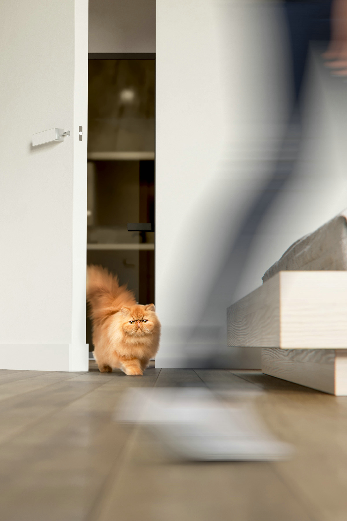 极简自由主义者的理想家 | 国外项目赏析-54