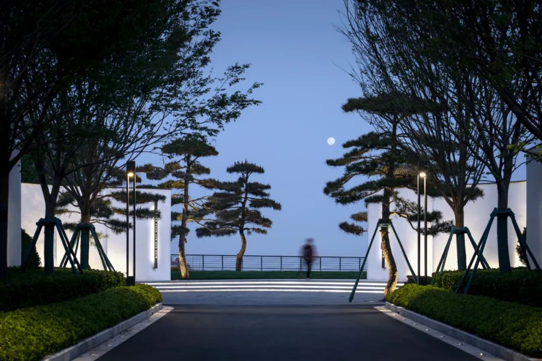 松林浪屿，海岸逐光丨青岛 · 云上观海-37