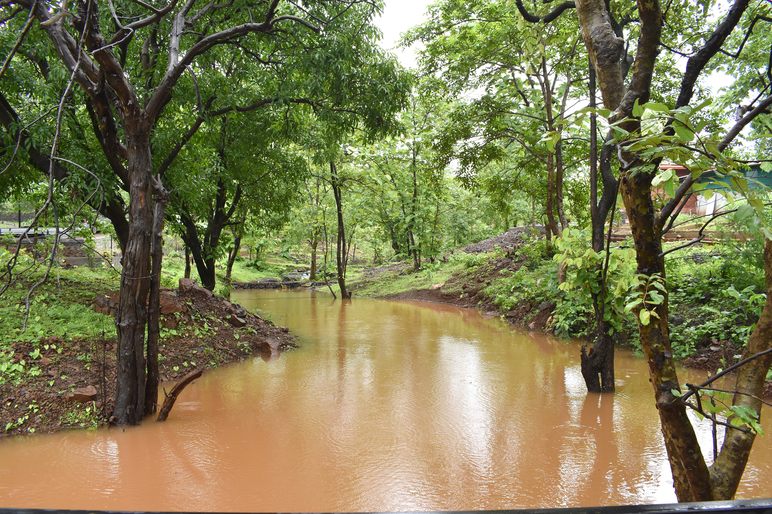 印度 Karjat 市 The Bridge Dam丨architecture INNATE-25