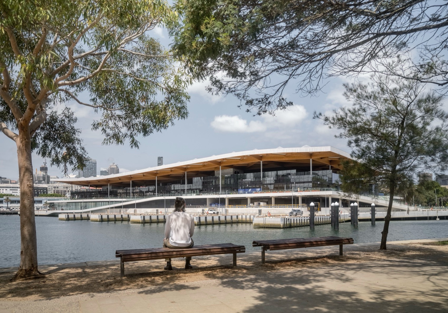 新悉尼鱼市场丨澳大利亚悉尼-7