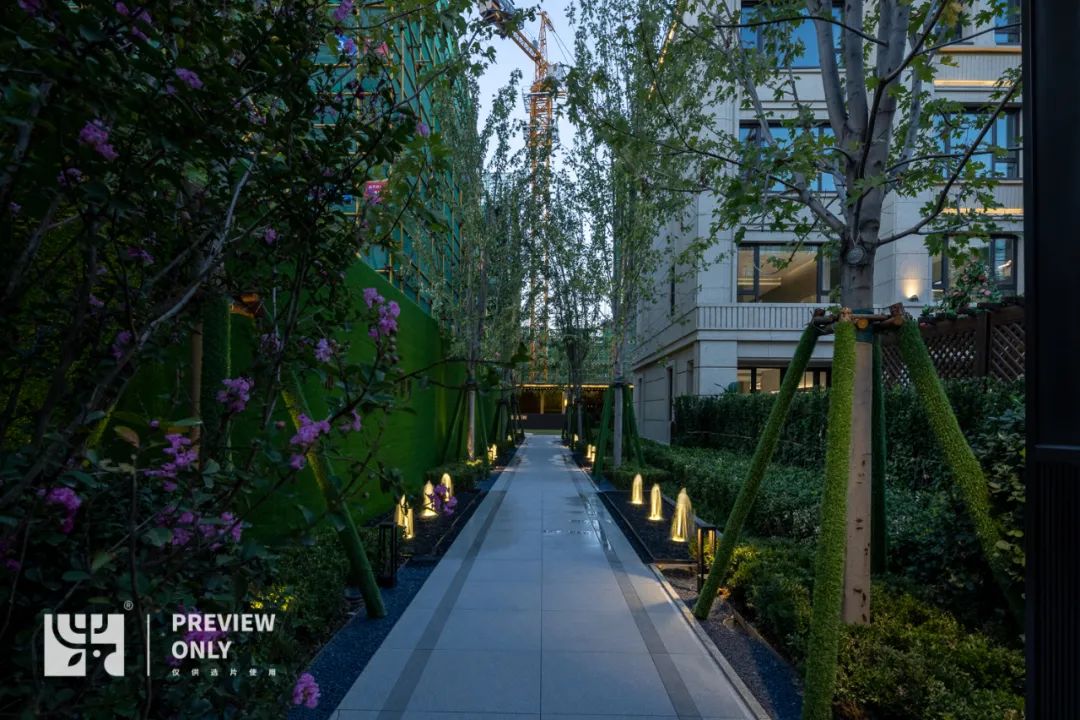 园路列植设计丨上景总工办-23