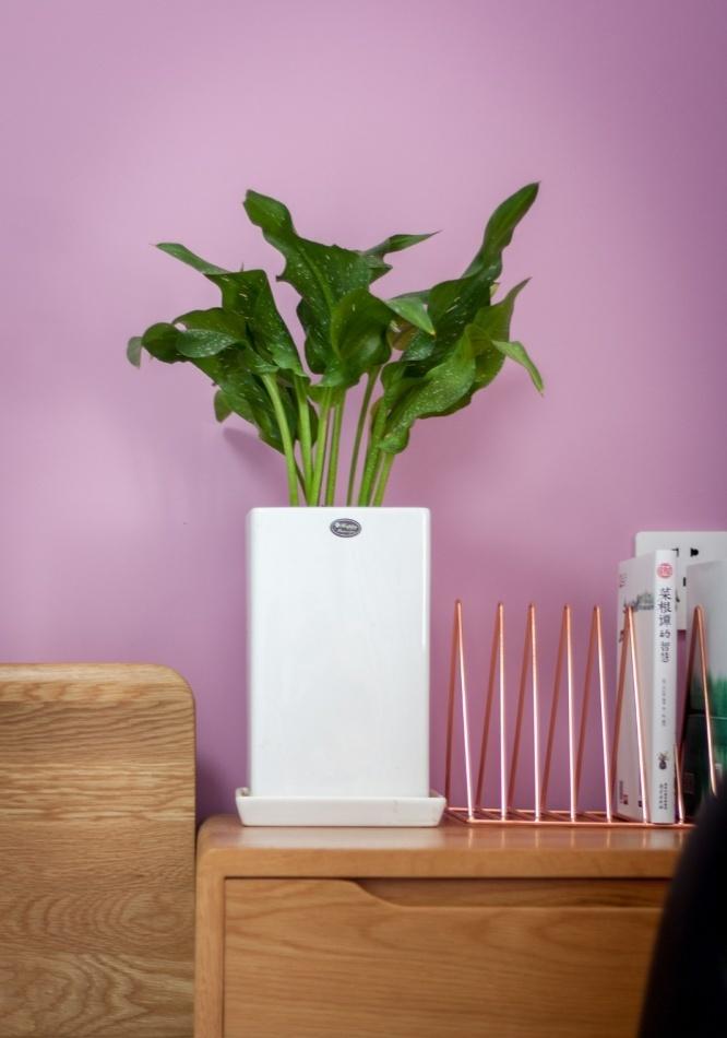 旅行主题的混搭之家——自然清新,功能齐全-24