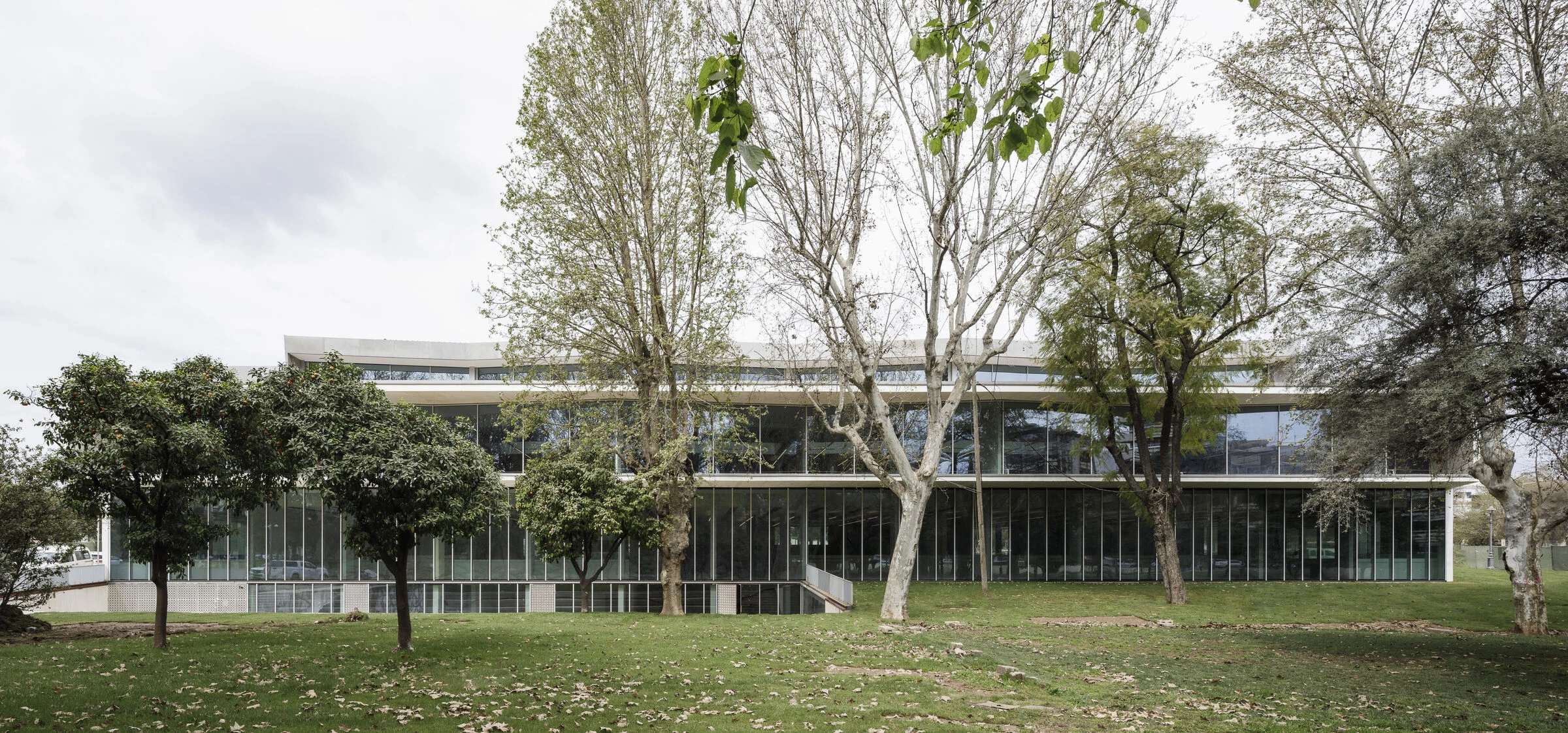 科尔多瓦公共图书馆丨Spain丨Paredes Pedrosa Arquitectos-12