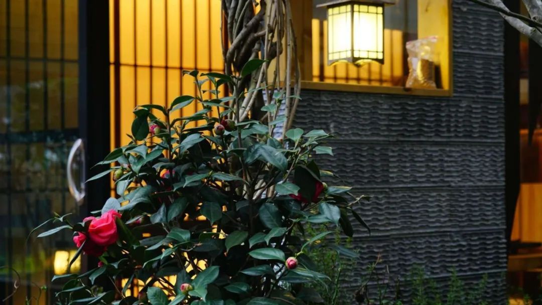 方圆间 | 现代与传统共融的诗意家居-48