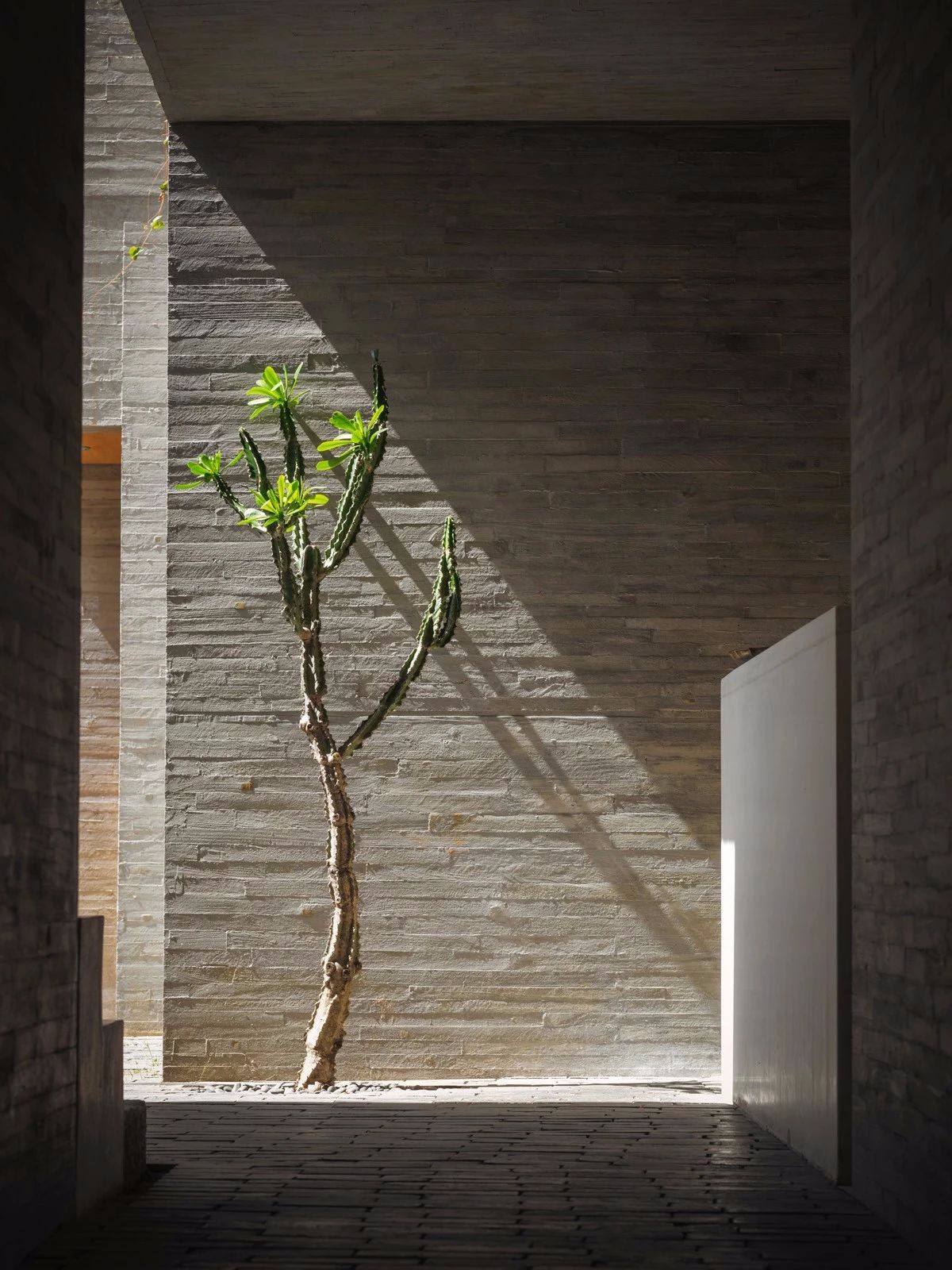 赵扬建筑工作室： 大理古城既下山酒店-46