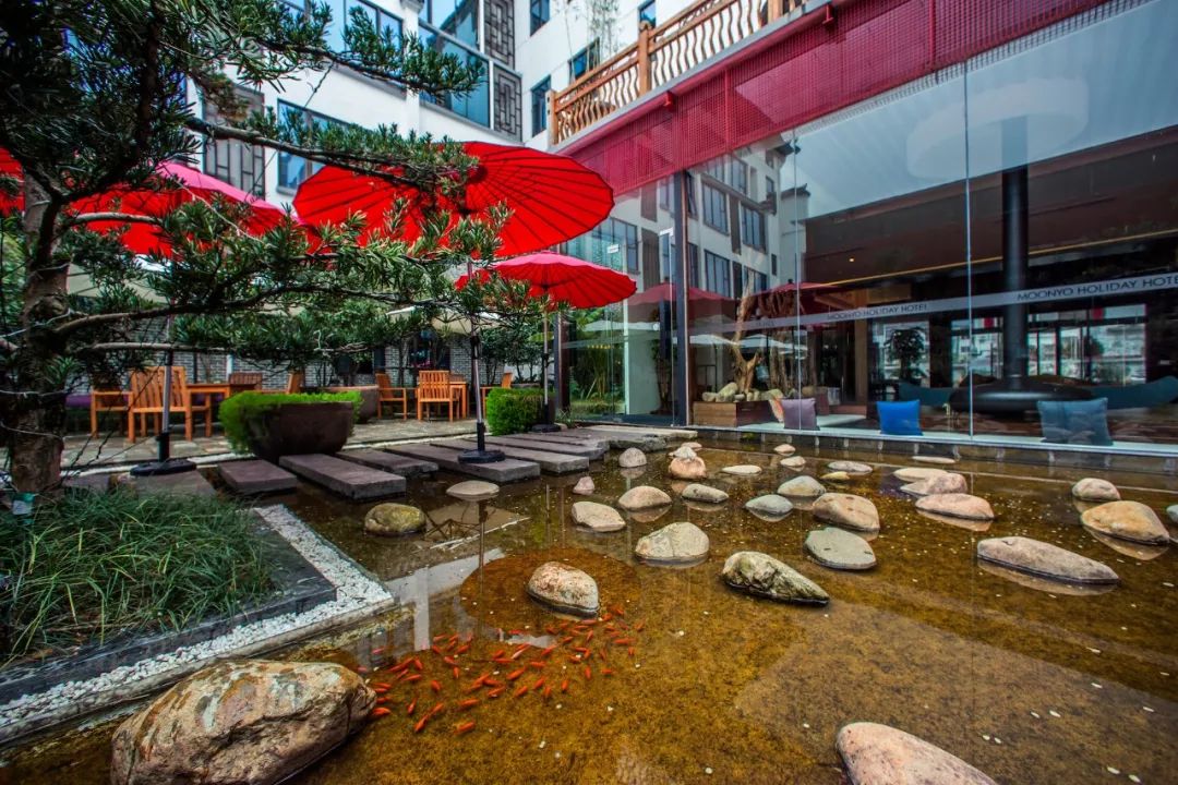 不期而遇的远方 | 青松掩映 茶苑芬芳-39