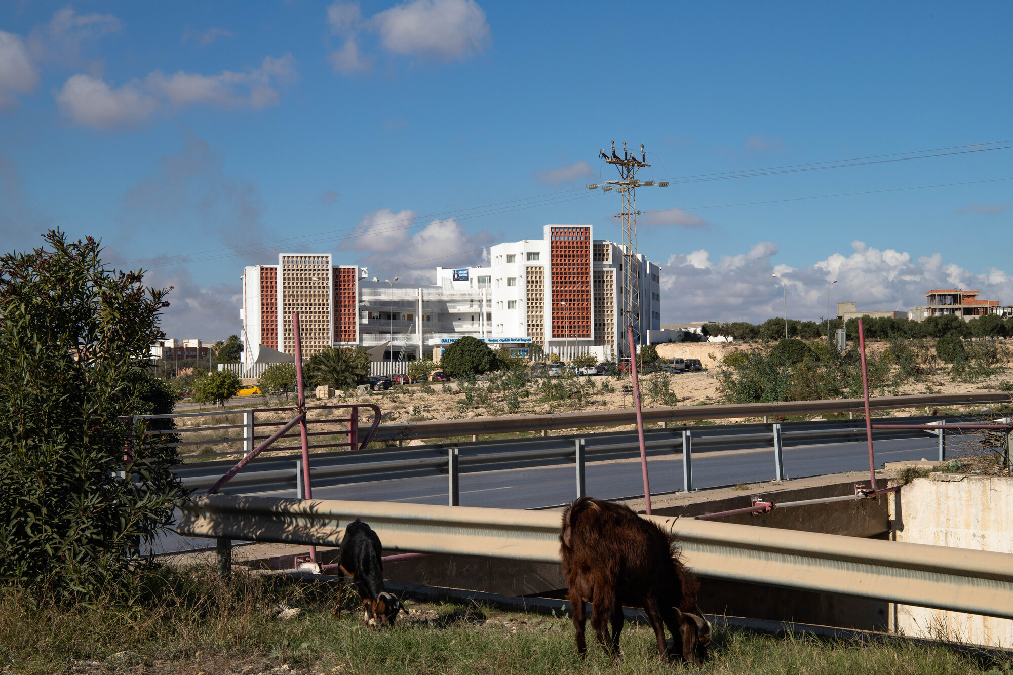 苏塞理工学校丨突尼斯-25