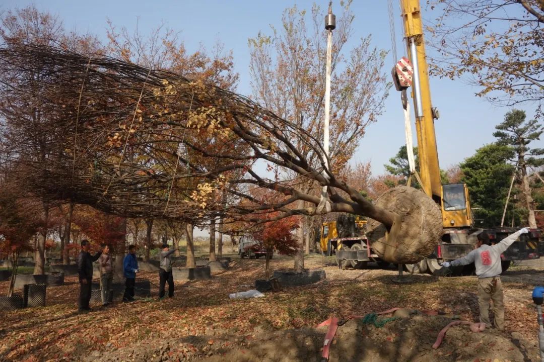 日本造园大师枡野俊明与植藤造园的东方美学-37