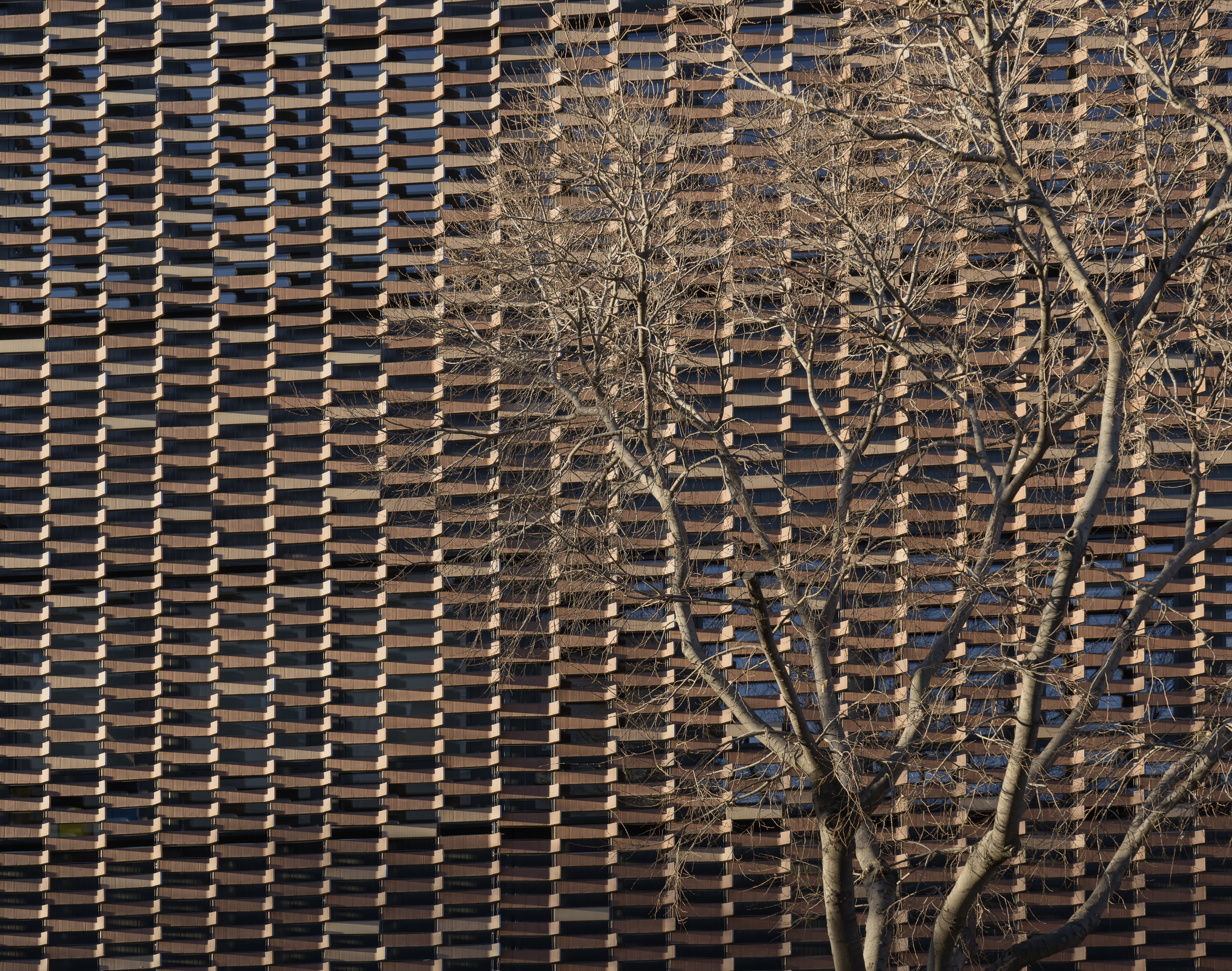 巴塞罗那圣保罗医院研究中心-7