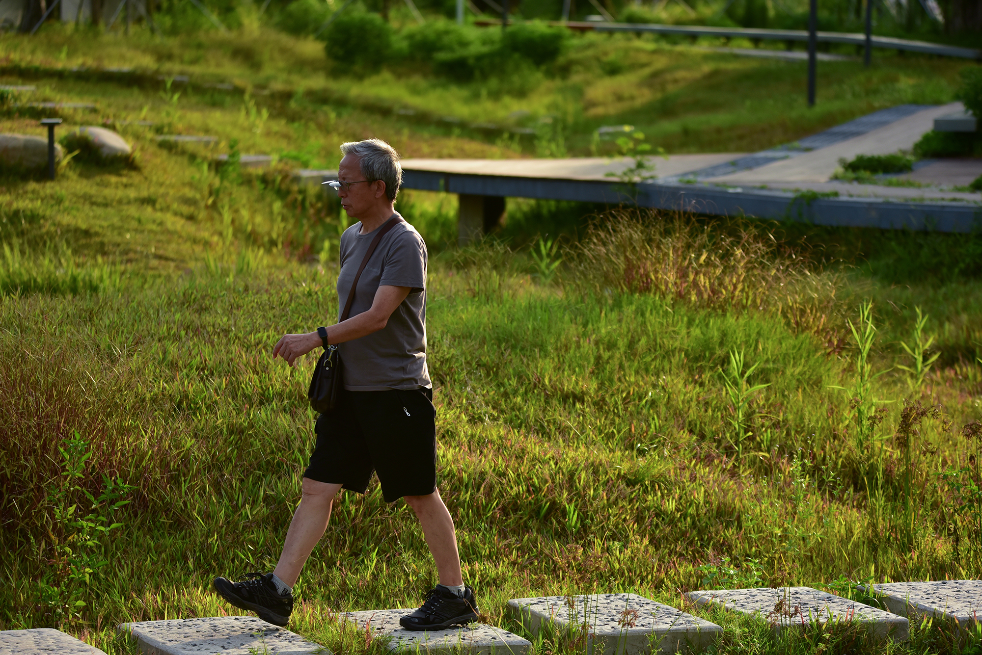 深圳光明虹桥1958生态公园丨中国深圳丨深圳自组空间,深圳市建筑科学研究院股份有限公司-58